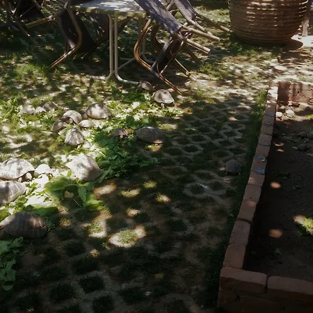 Hotel Garden Palace Boutique Kusadasi