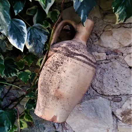 Garden Palace Boutique Hotel