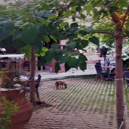 Garden Palace Boutique Hotel