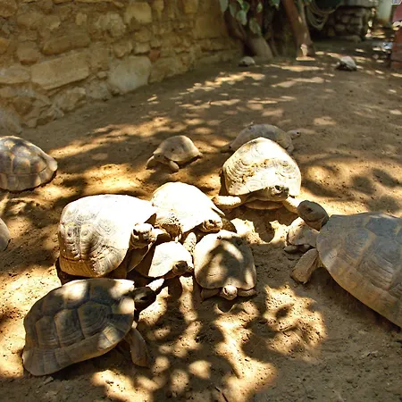 Hotel Garden Palace Boutique 2*