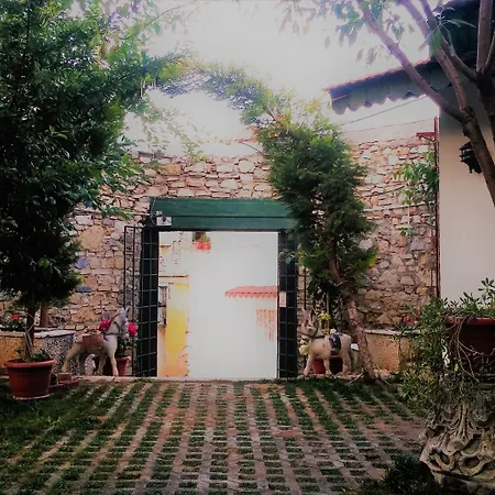 Garden Palace Boutique