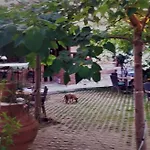Garden Palace Boutique Otel