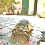 Garden Palace Boutique Szálloda Kusadası